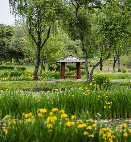 2025_buyeo_06_03.png