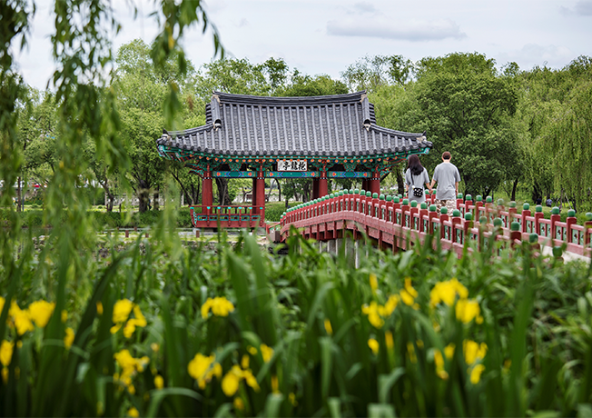 2025_buyeo_06_05.png