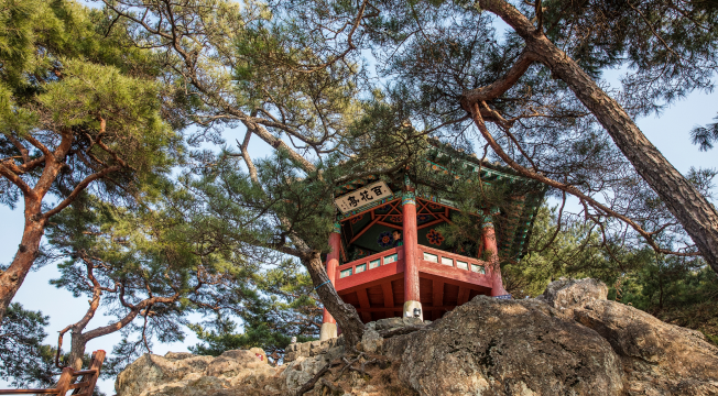 2025_buyeo_07_09.png