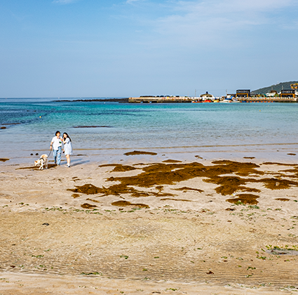 jeju2025_06_02.png