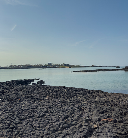 jeju2025_06_03.png