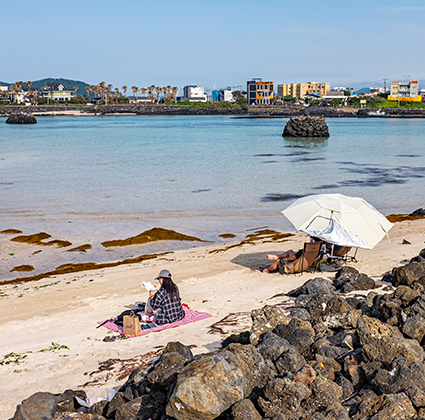 jeju2025_06_04.png