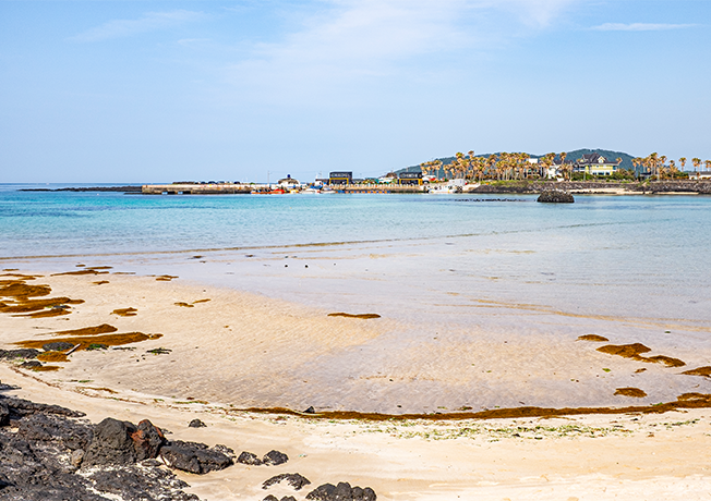jeju2025_06_05.png