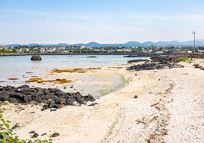 jeju2025_06_06.png