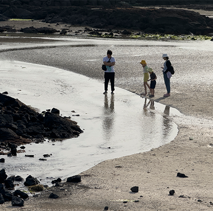jeju2025_06_08.png