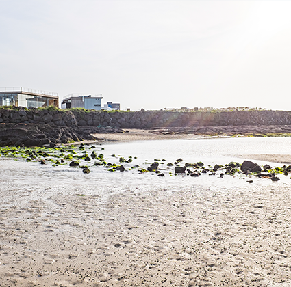 jeju2025_06_09.png