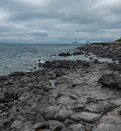 jeju2025_06_15.png