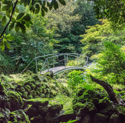 jeju2025_07_04.png