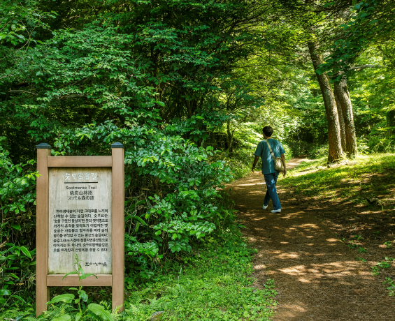 jeju2025_07_17.png